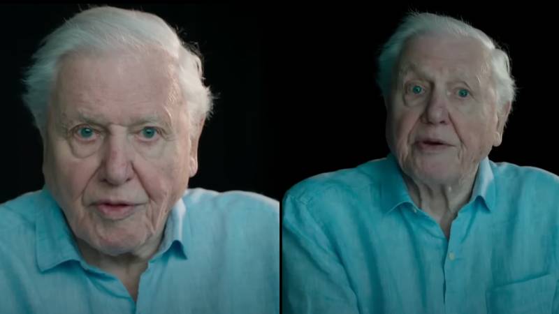 大卫·阿滕伯勒（David Attenborough）在“紧急最终认罪”时使观众流泪