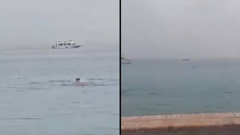 Man mauled to death and eaten by shark off Egyptian tourist resort