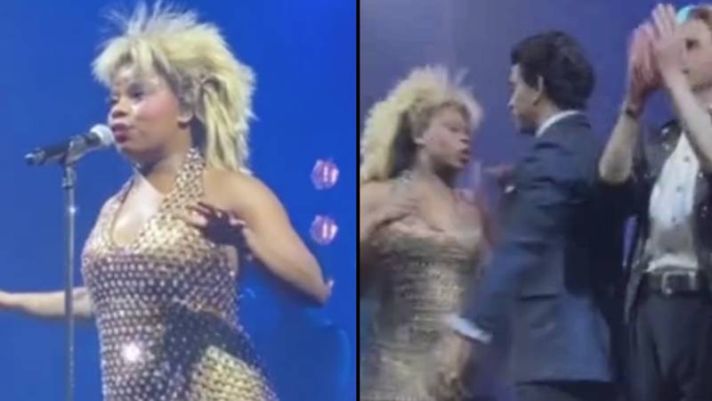 蒂娜·特纳（Tina Turner）在舞台上向辛格的去世讲话后，音乐演员欢呼雀跃