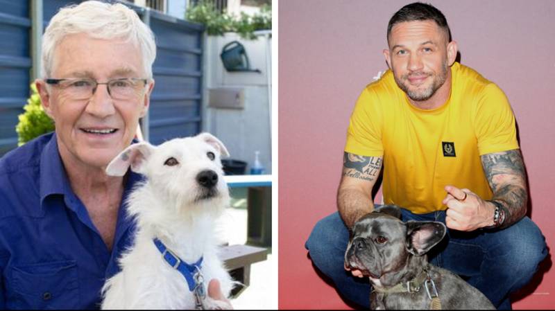 For the Love Of Dogs viewers call for Tom Hardy to replace late Paul O'Grady