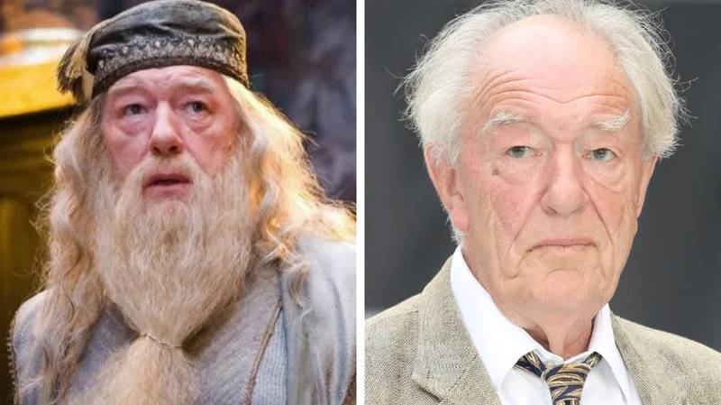 Harry Potter's Dumbledore actor Sir Michael Gambon has died