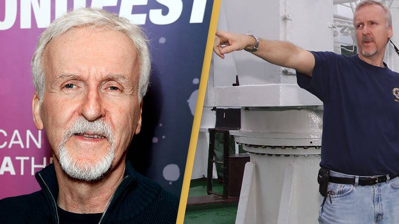James Cameron punched diver in the face after he almost died while filming underwater