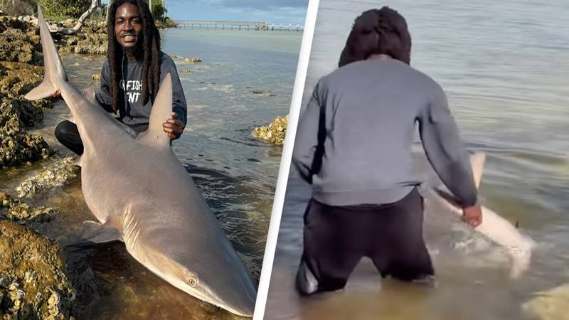 People shocked as Florida man wrestles and catches wild shark