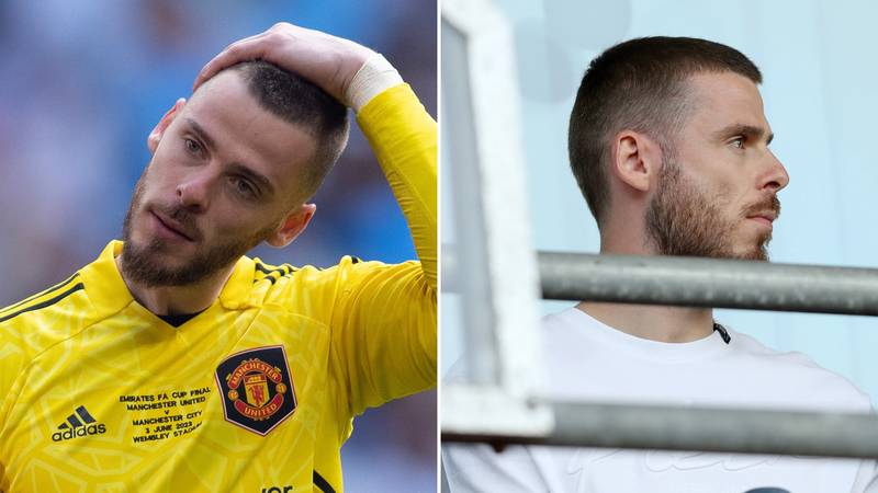 Free agent David de Gea 'may retire if he does not sign for major club'