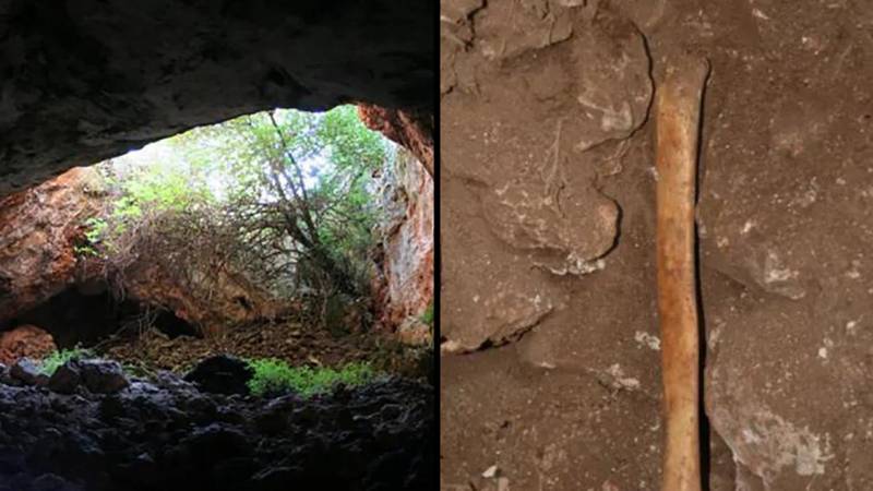Grim cave discovery exposes what our ancestors did to their dead relatives