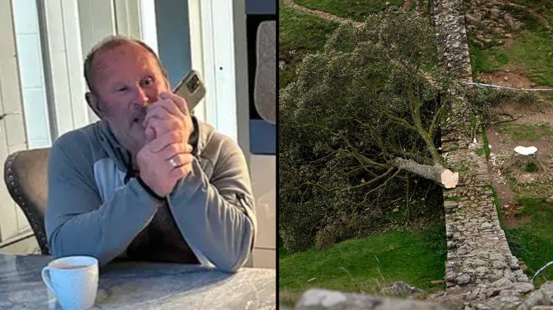 Man accused of deliberately felling world-famous Sycamore Gap tree speaks out