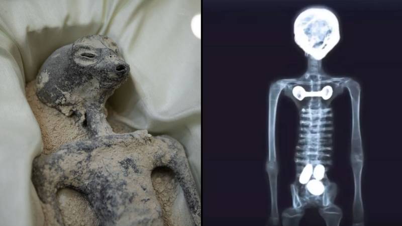 Scans on two ‘alien’ bodies in Mexico suggest that they haven't been assembled or manipulated