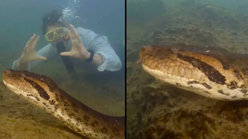 Chilling moment colossal beast is discovered in the depths of the Amazon river