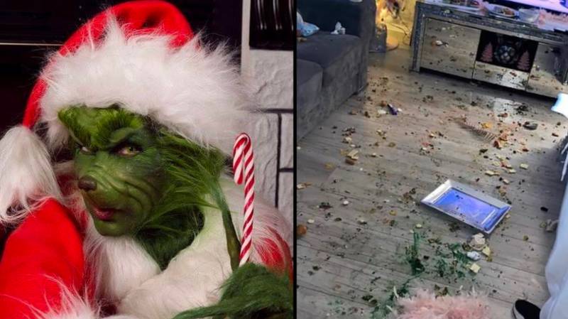 £85 Grinch who ruined woman’s home is now available for hire again