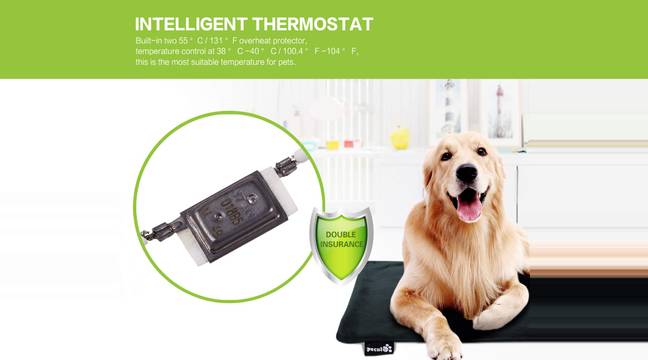 Amazon Is Selling Heated Pet Blankets To Keep Them Snug As A Bug