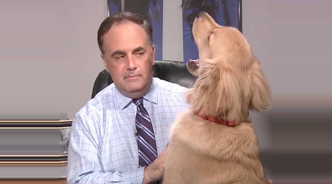 Credit: Fox13 Tampa Bay