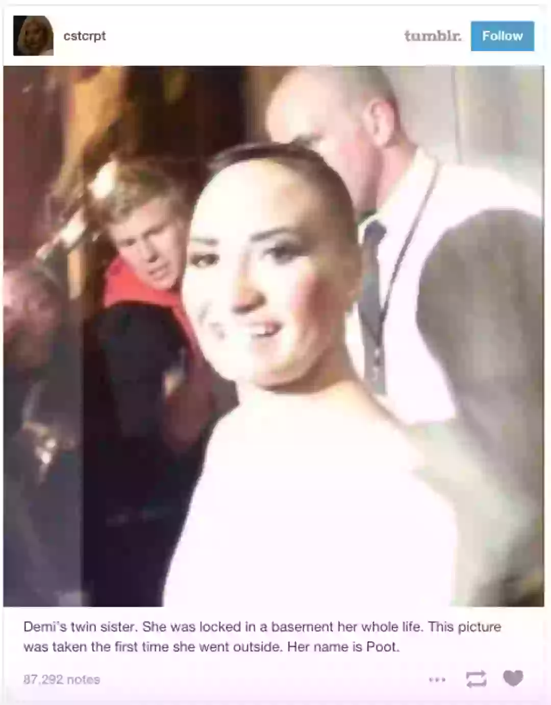 Demi Lovato Originally Thought Photoshopped Poot Lovato Meme Was A Real demi-lovato-originally-thought-photoshopped-poot-lovato-meme-was-a-real