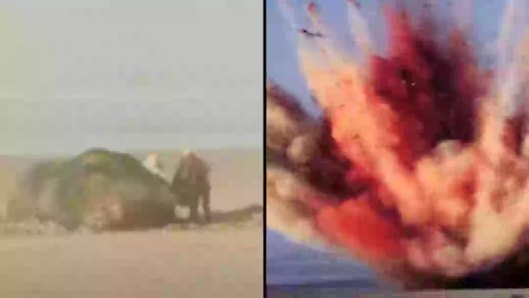 Exploding whale incident is still one of the craziest spectacles ever ...