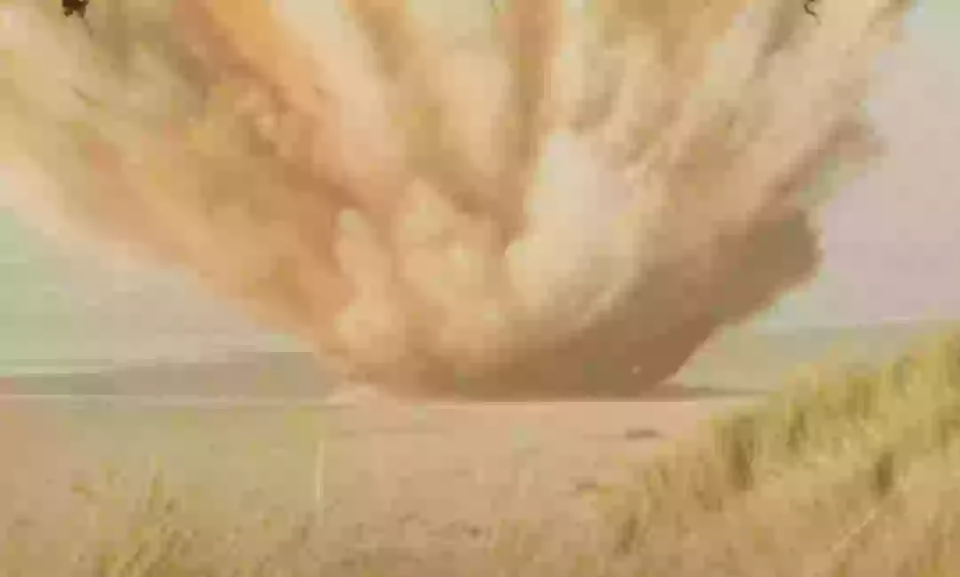Simulation shows what happened during Oregon's 1970 exploding whale ...