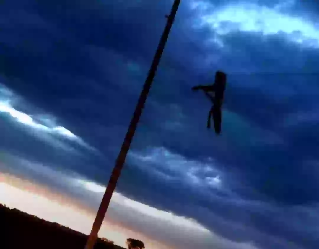 Woman who was left hanging by broken leg on power line after car crash ...