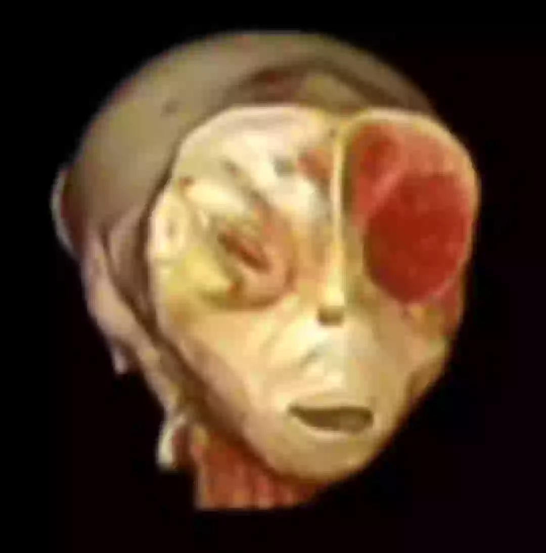 Alien Ct Scan Mexican Government released 'X-ray scans' of two 'alien bodies' found ...