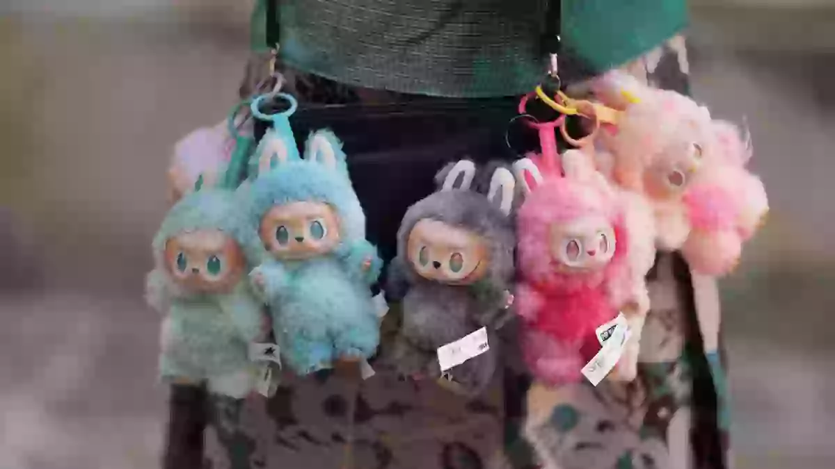 Terrifying warning issued to Labubu owners who wear the viral doll on ...