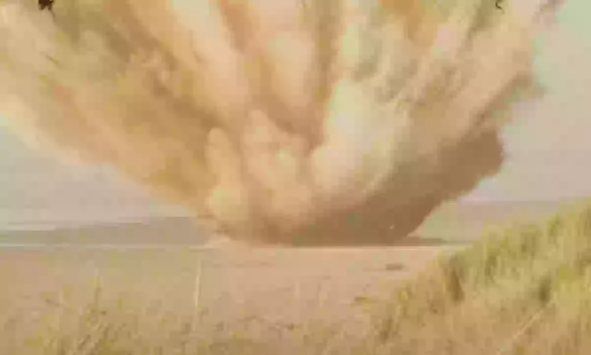Simulation shows what happened during Oregon's 1970 exploding whale ...