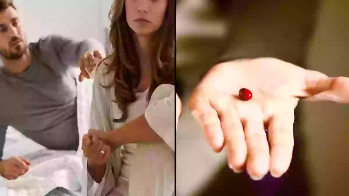 Ex-partners of 'red pill guys' share four common warning signs that you ...
