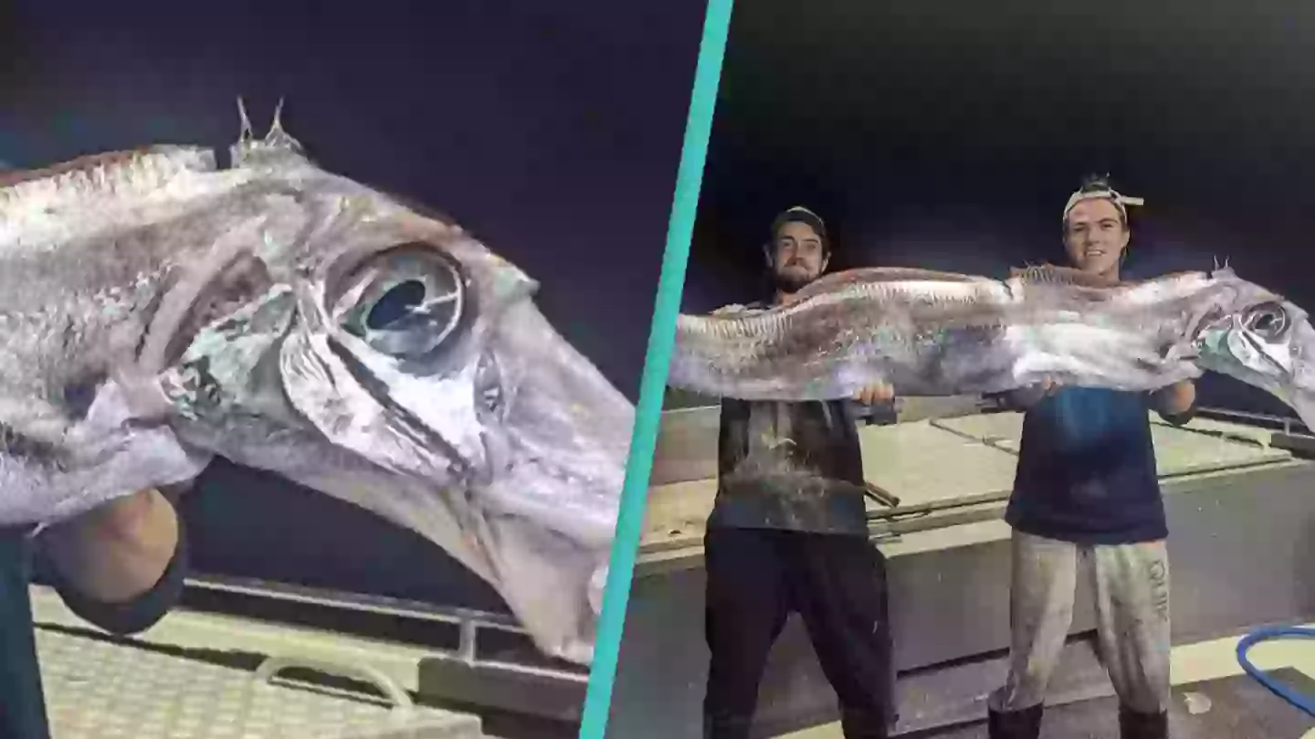 Fishermen catch terrifying 'doomsday fish' in rare sighting of deep-sea ...