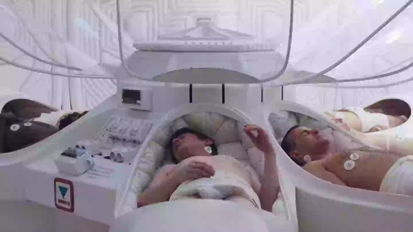 Cyro Sleep Humans could learn how to hibernate and live in between 'life and death ...