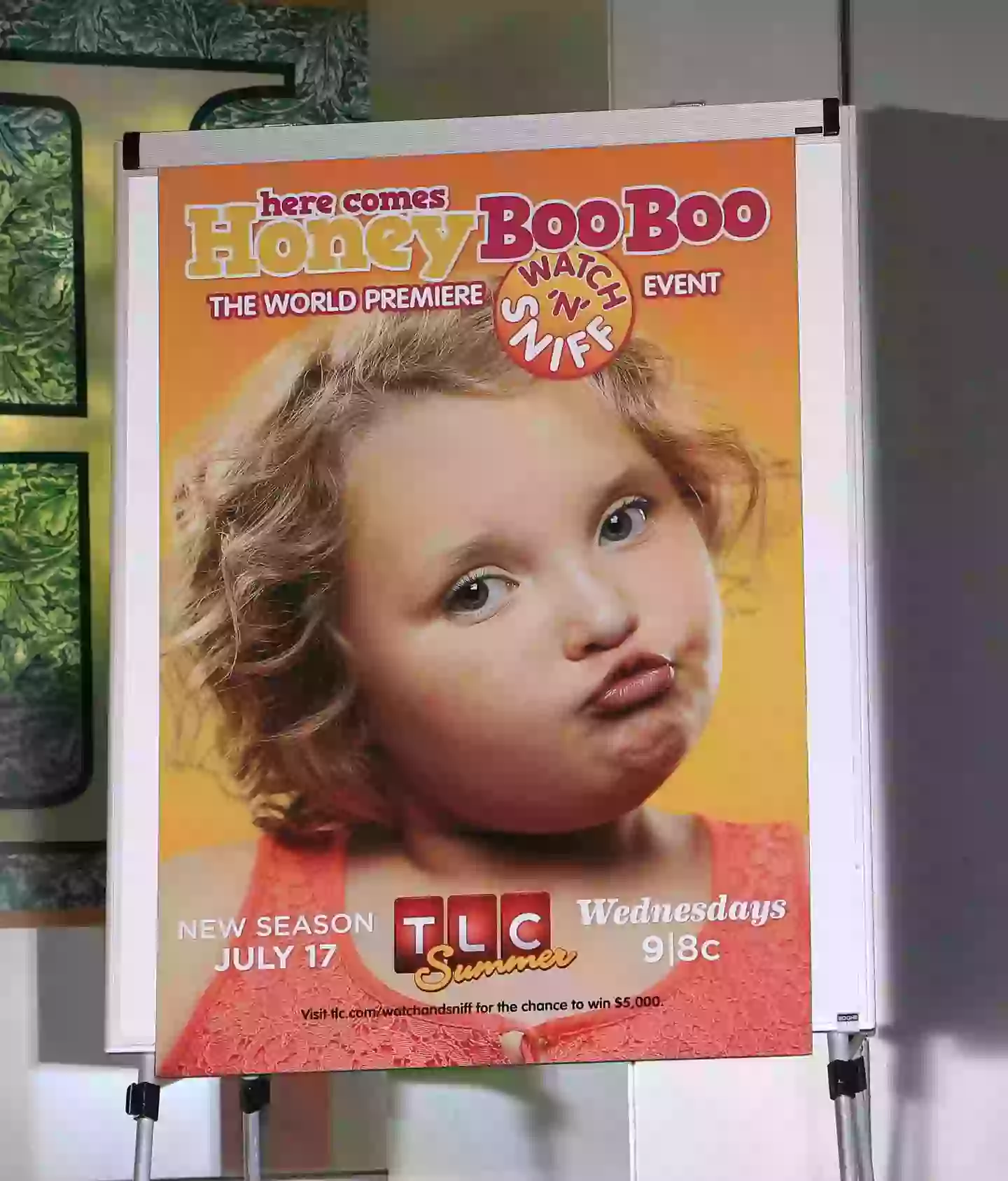 Boo Boo Shows What happened to child star Honey Boo Boo who rose to fame after ...