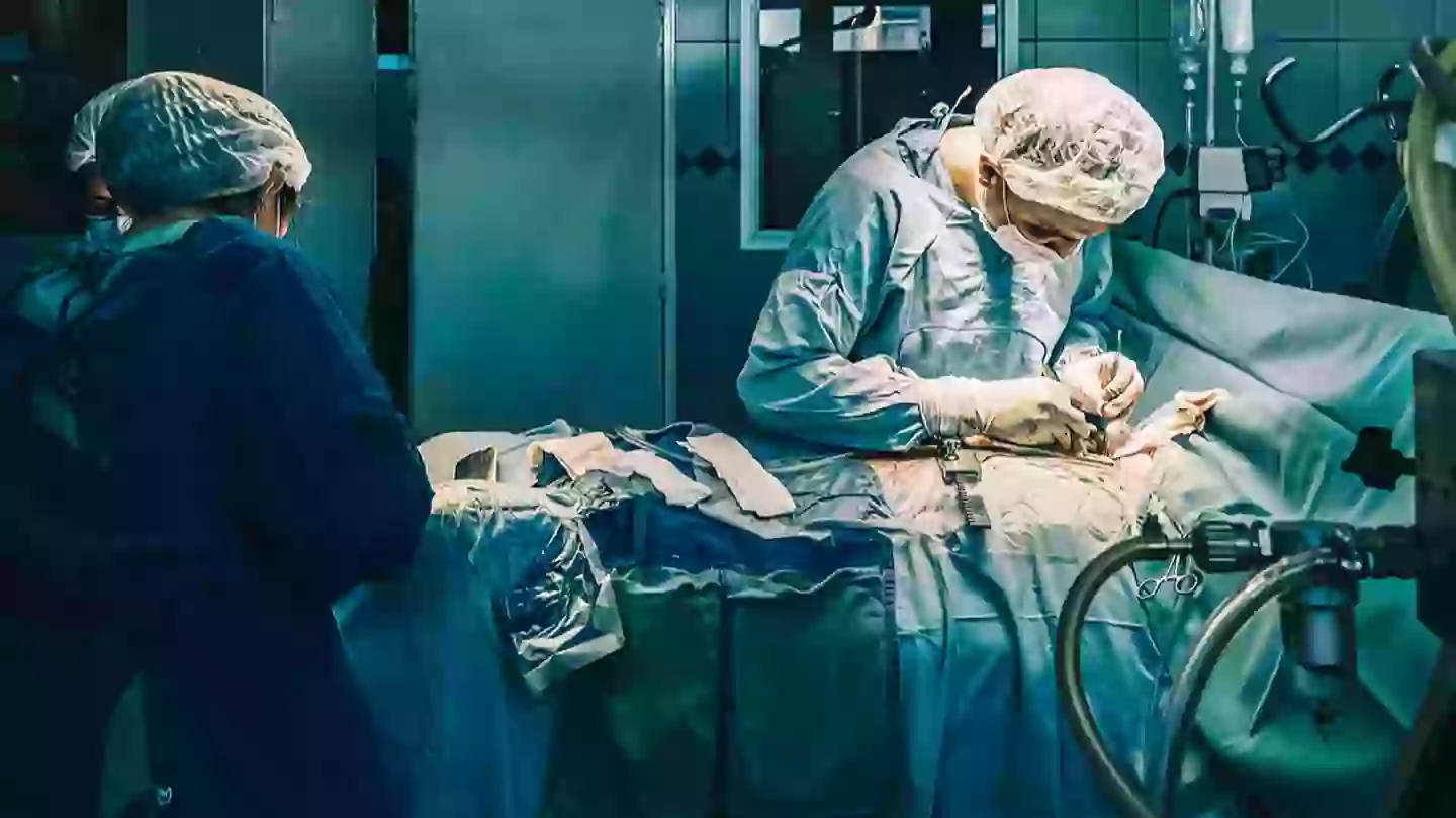Had Surgery Scientists claim there's one specific day in the week you should 'never ...