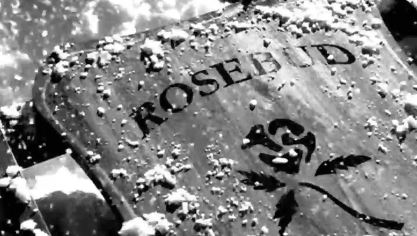 The 25 most iconic movie plot twists of all time ranked