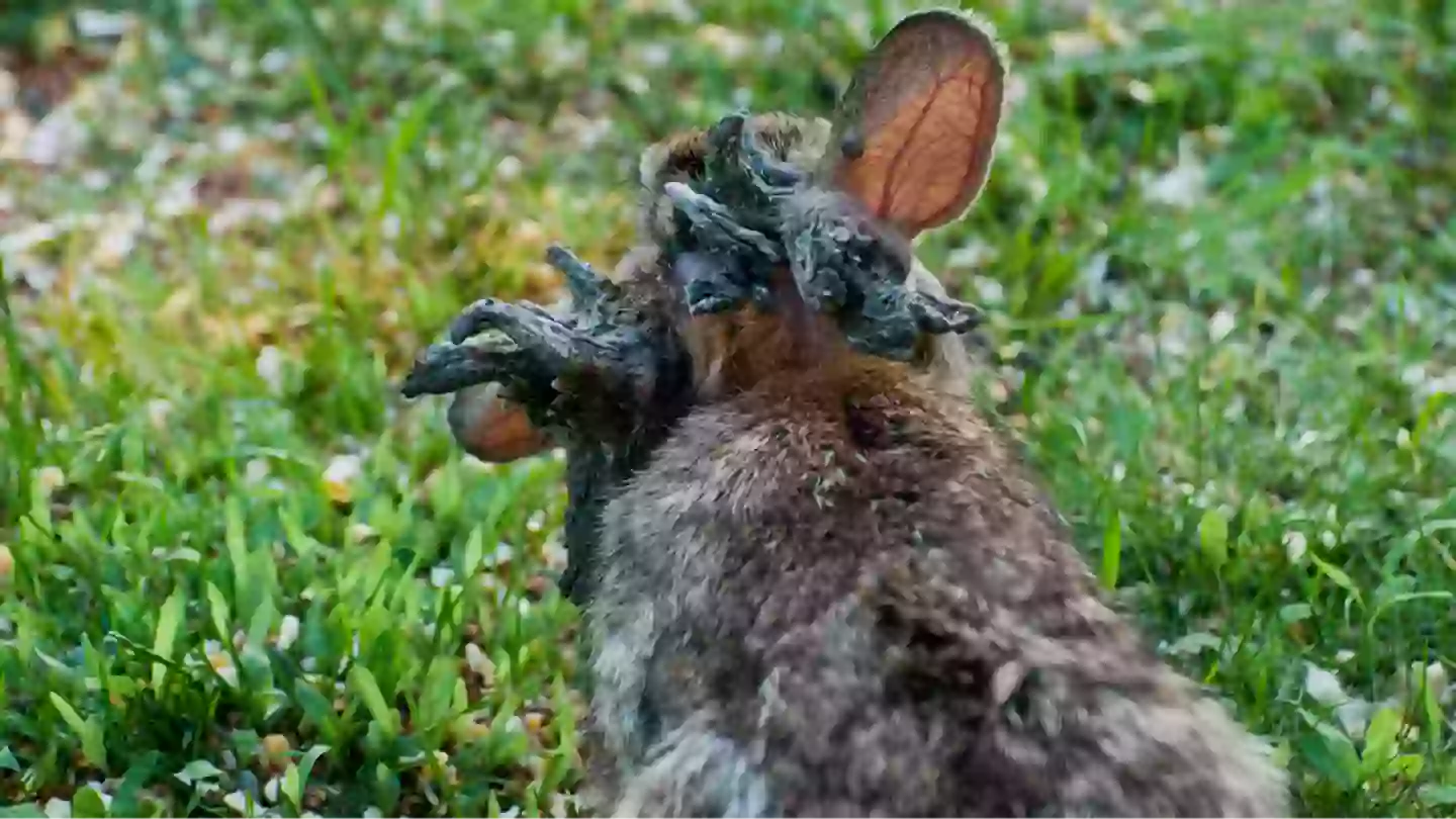 Scientists issue shocking update on real-life ‘Gates of Hell’ that have ...