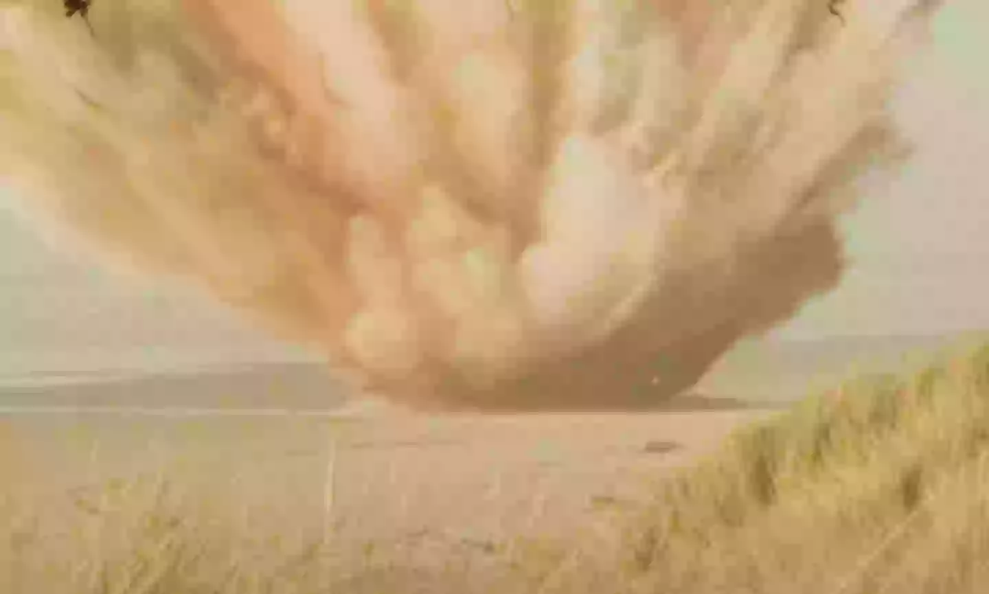 Simulation shows what happened during Oregon's 1970 exploding whale ...