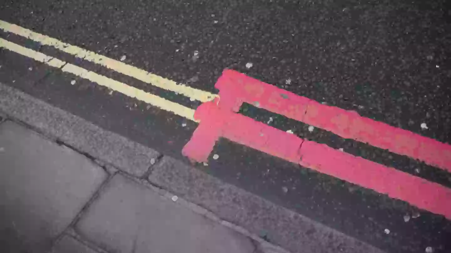 Lip reader reveals 'what Barron Trump said to Joe Biden' during ...