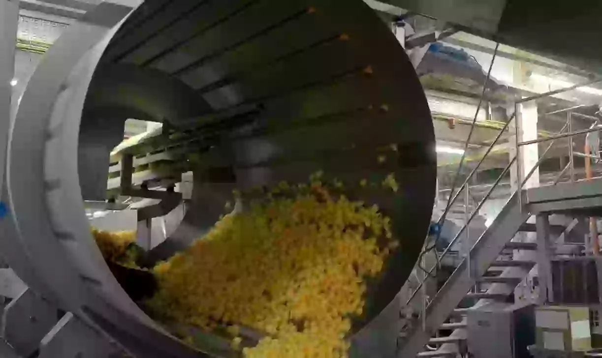 Brits 'horrified' after watching clip showing how Quavers are really made