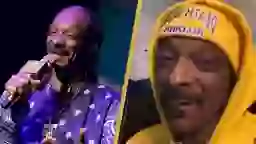 'Gin and Juice' rapper Snoop Dog once had a pet cockroach in his ...