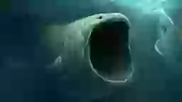 Extremely Powerful Sound That Couldn t Be Made By Animals Was Recorded extremely-powerful-sound-that-couldn-t-be-made-by-animals-was-recorded
