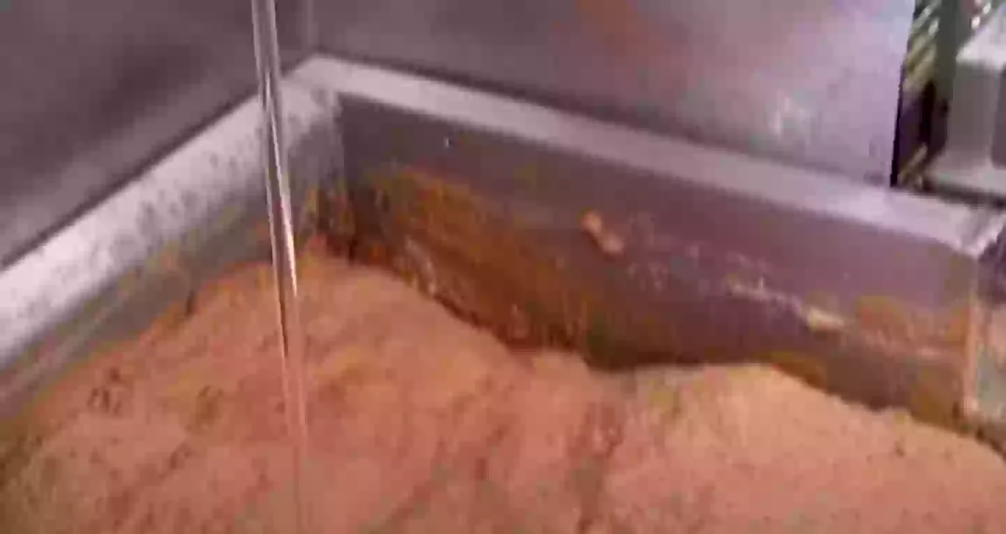 A 'dash' of corn syrup (Discovery)