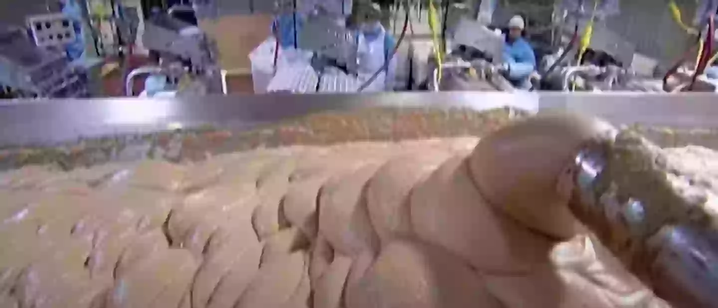 The pre-casing puree mix (Discovery)