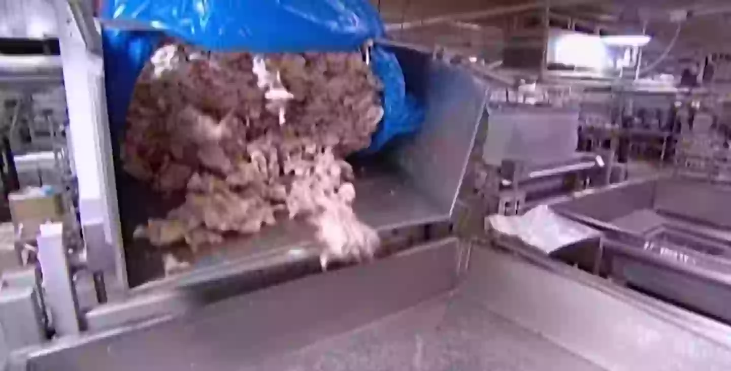 The meat trimmings at the start of the process (Discovery)