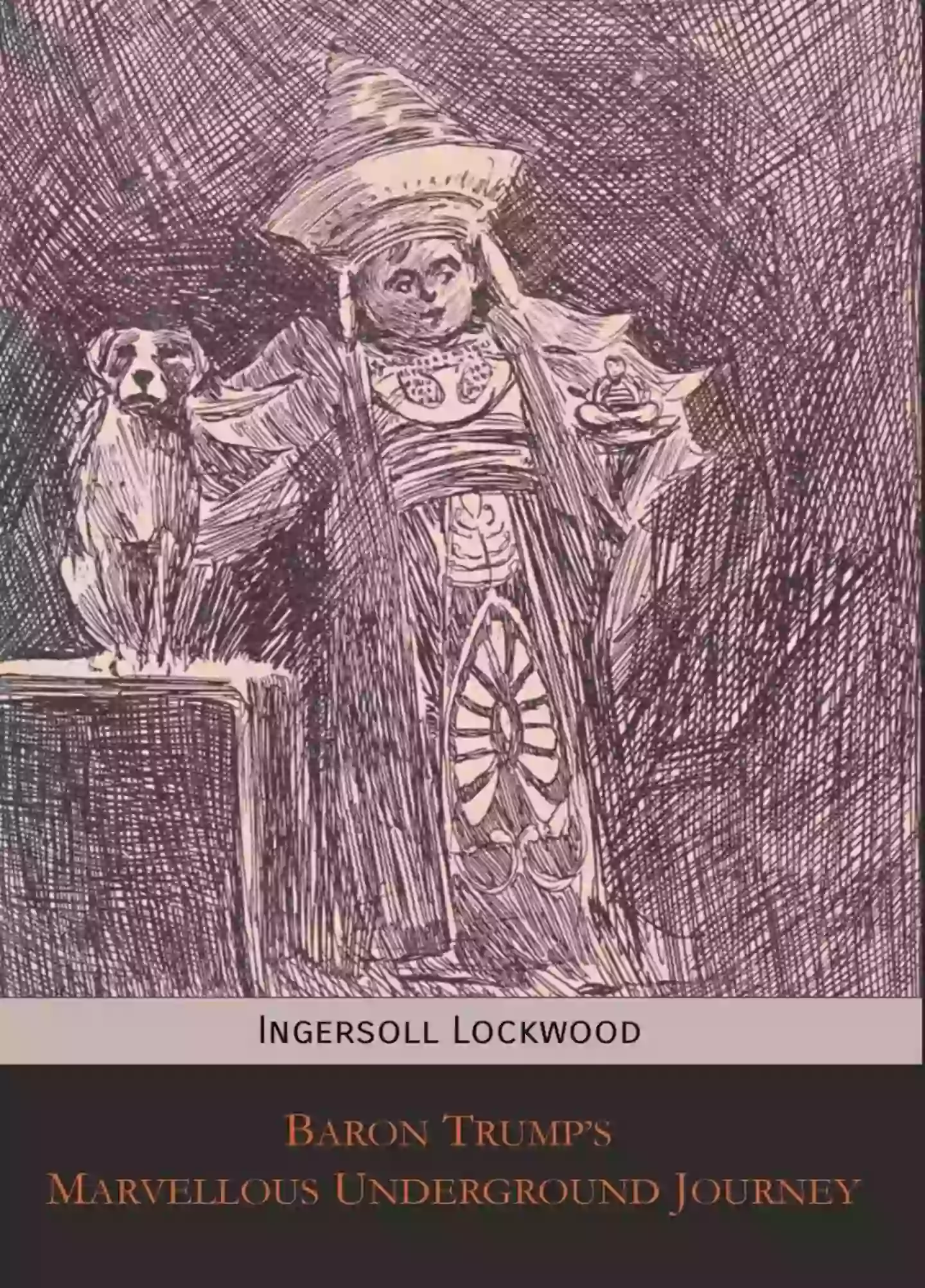 The novel was published in the 1800s (Amazon/Mockingbird Press)