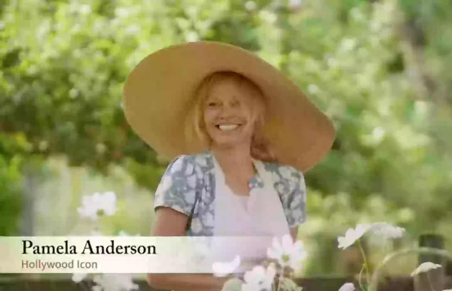 People have been pointing out the similarities between the shows (Flavour Network)