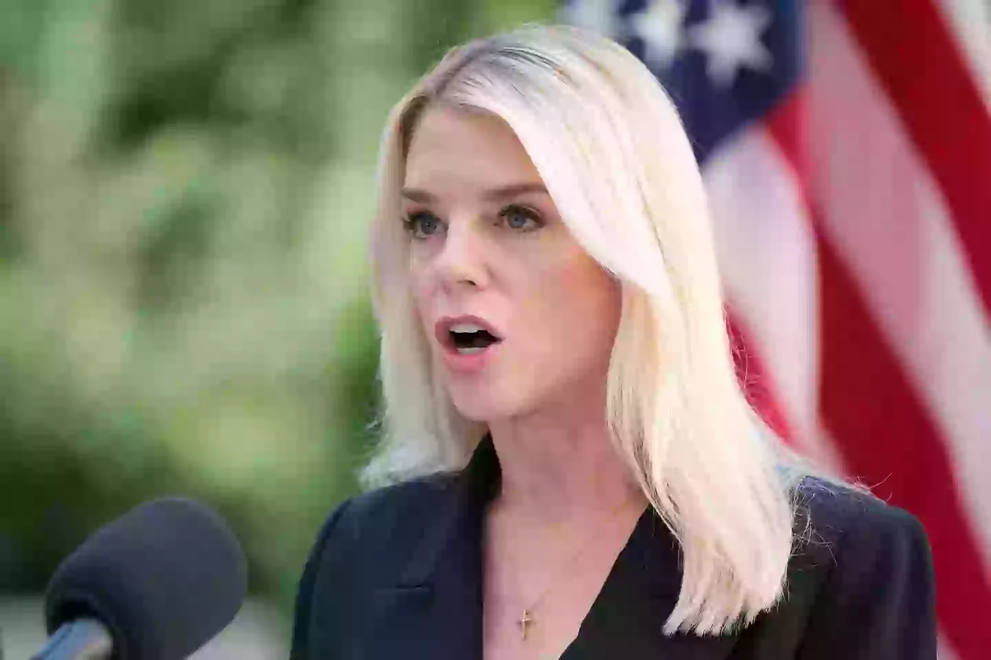 Pam Bondi discussed the deal (Kayla Bartkowski/Getty Images)