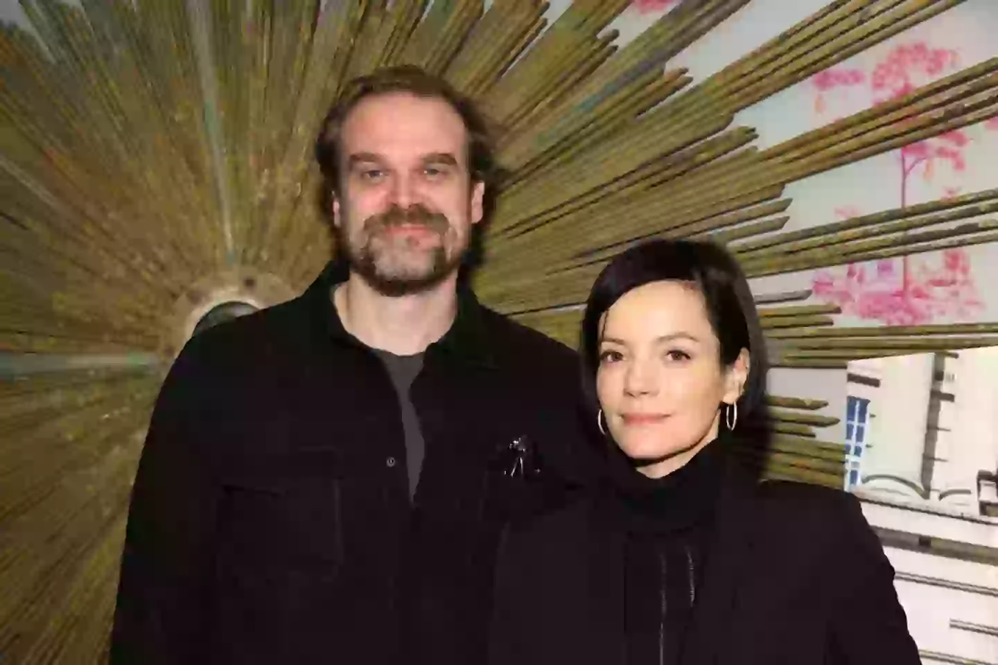 David Harbour has spoken about the split (Dia Dipasupil/Getty Images)