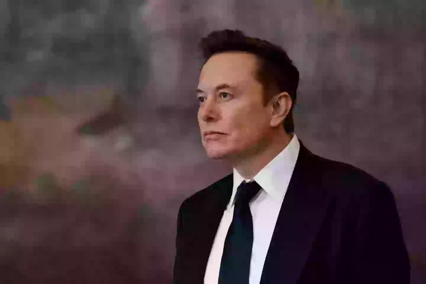 Elon reportedly has no relationship with his father (Chip Somodevilla/Getty Images)