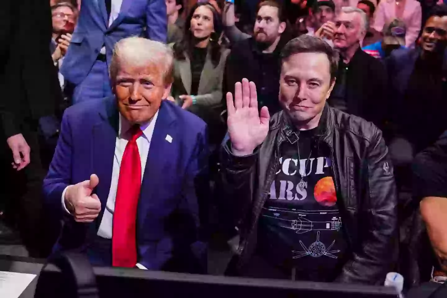 Musk was hired amid the creation of the Department of Government Efficiency (Jeff Bottari/Zuffa LLC)