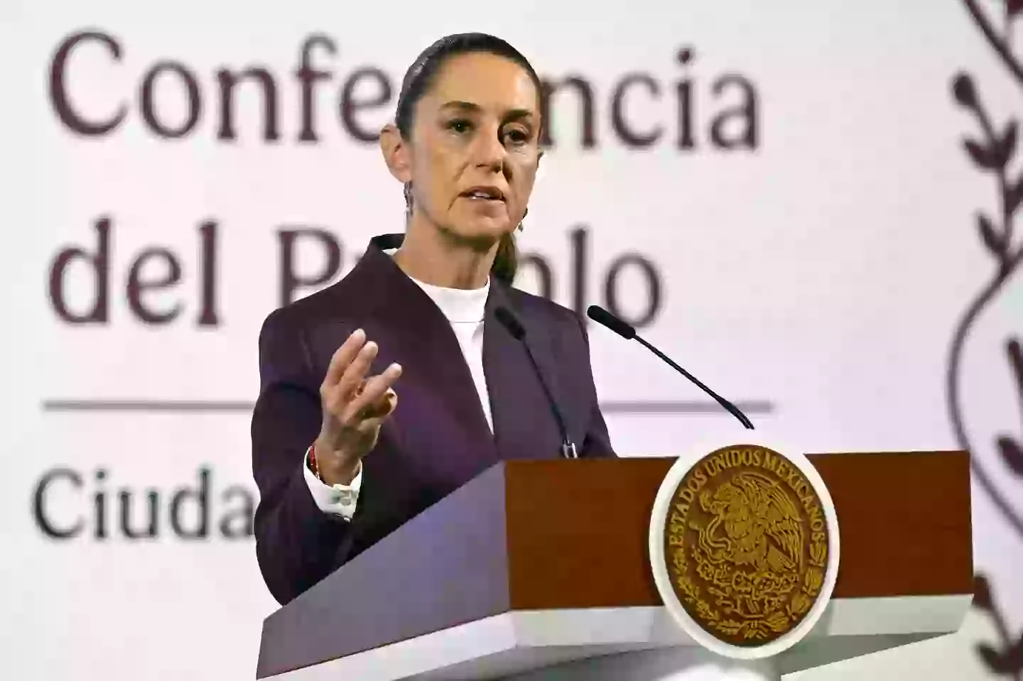 Claudia Sheinbaum has pushed back at the action (ALFREDO ESTRELLA/AFP via Getty Images)