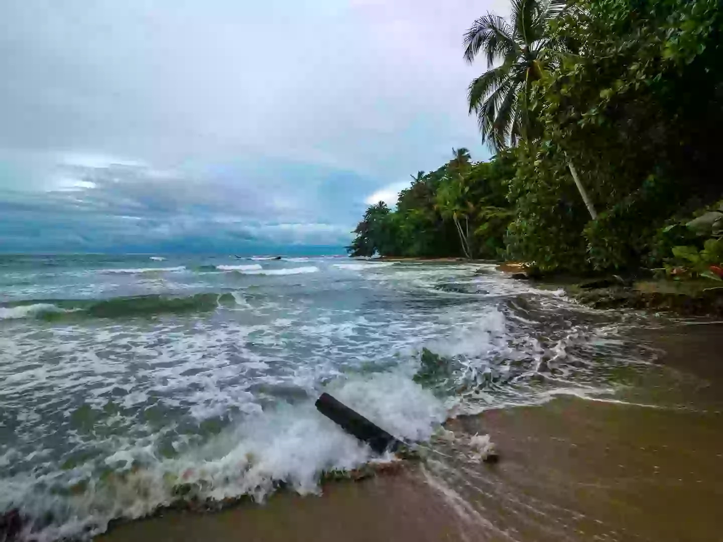 The actor was swimming off Playa Cocles when he tragically drowned (Getty Stock)