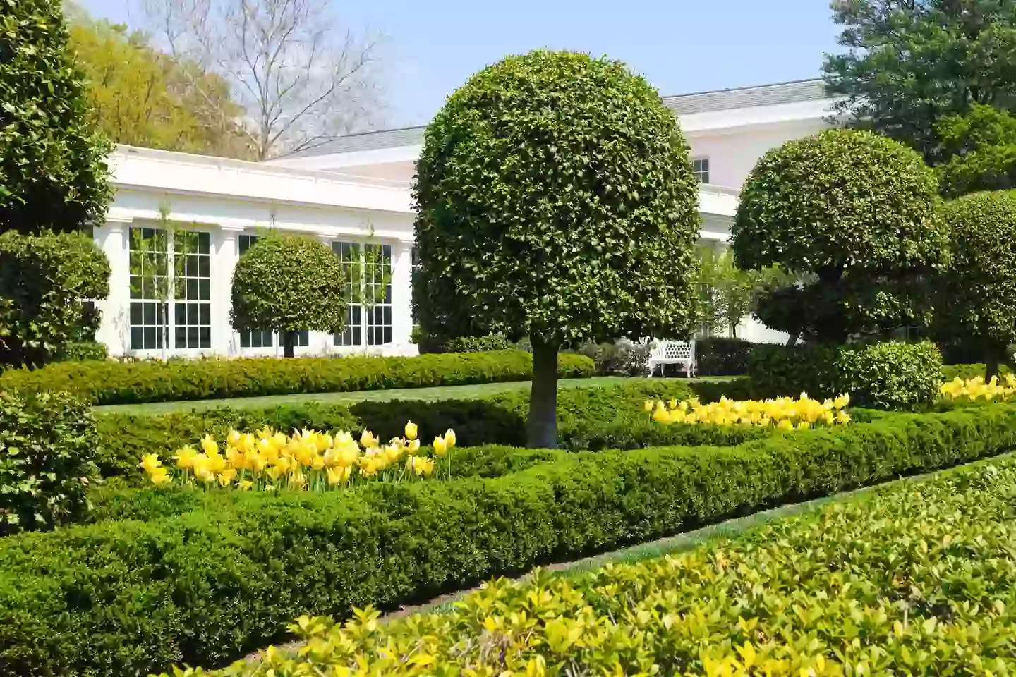 It was once brimming with life and greenery (Getty Images)