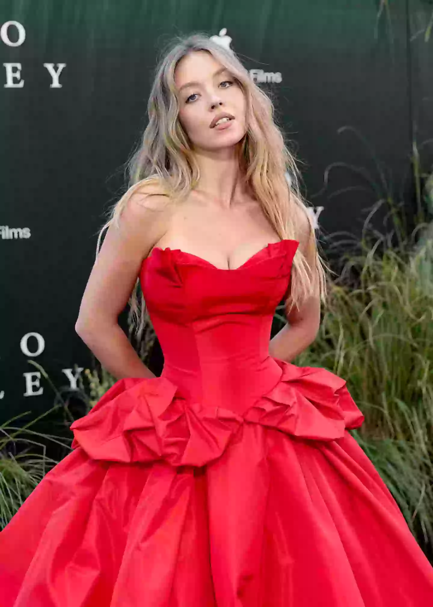 Bars of soap made from Sydney Sweeney's bathwater have been listed on eBay for as much as $2,000 (Joy Malone/Variety via Getty Images)