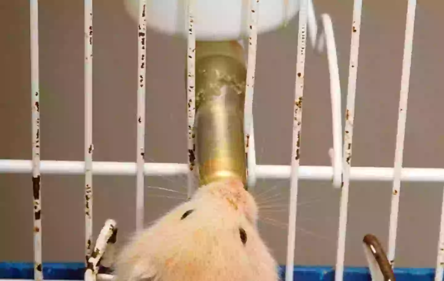 The position is said to mimic... well... this (Getty Stock Image)