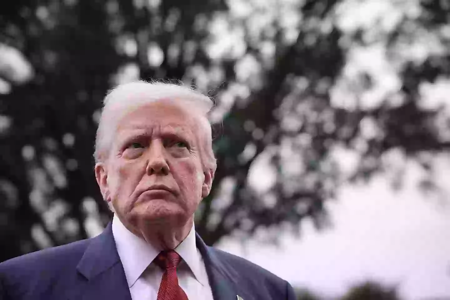 Donald Trump admits they are considering reclassification (Win McNamee/Getty Images)