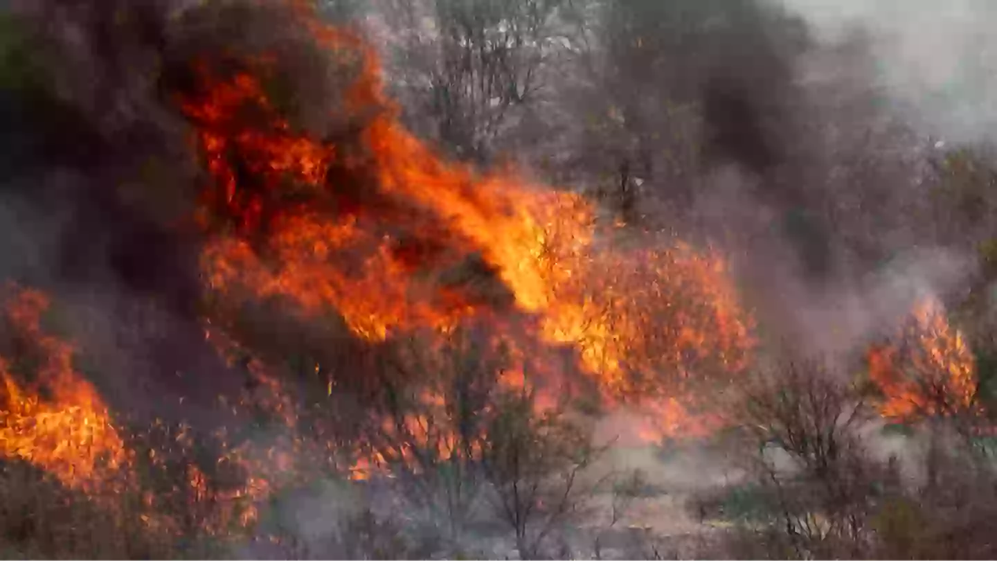 Southern California wildfire status escalated to 'megafire' as authorities issue desperate warning